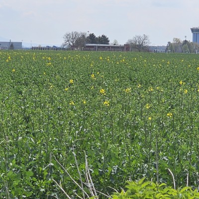 Pozemok na priemyselné využitie 28720 m2 - KOŠICE - BARCA