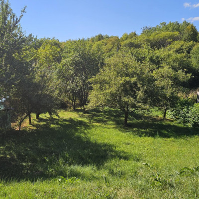 Záhrada s chatkou v záhradkárskej lokalite Čičky-Majer, Košice